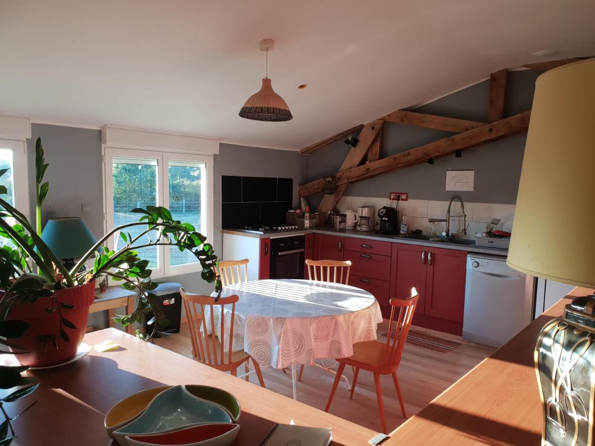 Chambre D'Hote De L'Elevage Du Lattay Les Hauts-d'Anjou Kültér fotó