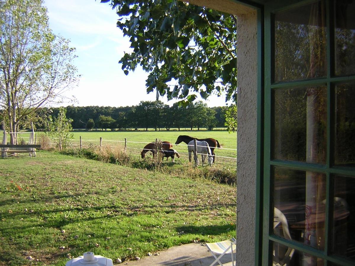 Chambre D'Hote De L'Elevage Du Lattay Les Hauts-d'Anjou Kültér fotó